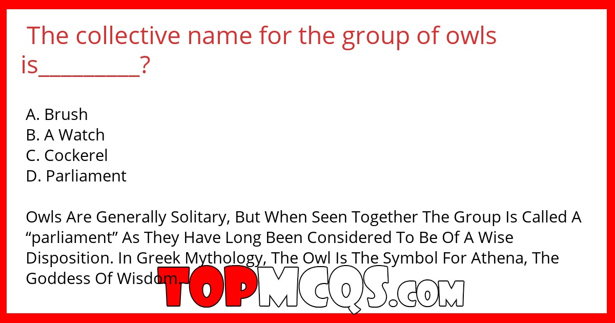 The collective name for the group of owls is_________?
